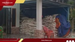 Pengungkapan Dugaan Penimbunan Pupuk di Riau: TNI Sita Puluhan Ton Barang Bukti
