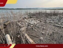 Dampak El Nino di Wonogiri: Marak Karhutla dan Muka Air Waduk Gajah Mungkur Menurun