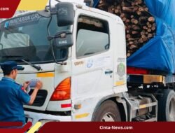 DPR Minta RUU LLAJ Tidak Cuma Tindak Sopir, Tapi Pihak yang Diuntungkan Truk ODOL