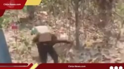Penjarahan Muatan Truk Berakhir Damai, Polsek Terima Puluhan Botol Oli dari Warga