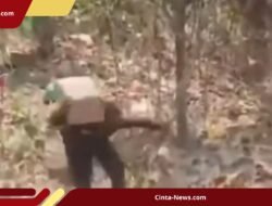 Penjarahan Muatan Truk Berakhir Damai, Polsek Terima Puluhan Botol Oli dari Warga