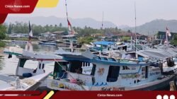 Krisis Solar di Mamuju: 50 Kapal Lumpuh, 600 ABK Terpaksa Pulang Kampung
