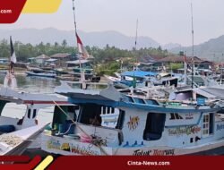 Krisis Solar di Mamuju: 50 Kapal Lumpuh, 600 ABK Terpaksa Pulang Kampung