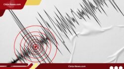 Jepang Minta Maaf usai Keliru Rilis Peringatan Gempa Magnitudo 9,9
