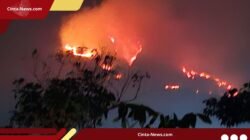 Titik Api Gunung Sumbing Kian Meluas, Tim Gabungan Siaga Amankan Jalur Pendakian