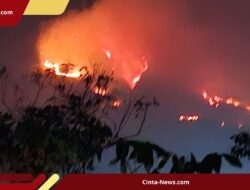 Titik Api Gunung Sumbing Kian Meluas, Tim Gabungan Siaga Amankan Jalur Pendakian