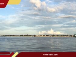 Cacing Merah Sungai Kapuas: Bikin Warga Gatal, Ternyata Berpotensi Jadi Pakan Udang