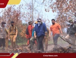 Temukan Alat Berat di Lahan Bekas Karhutla, Gubernur Sumsel Segel Area 120 Hektare